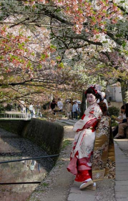 maiko_F.jpg