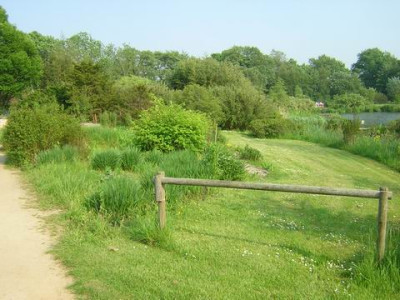 Ufer5a.JPG