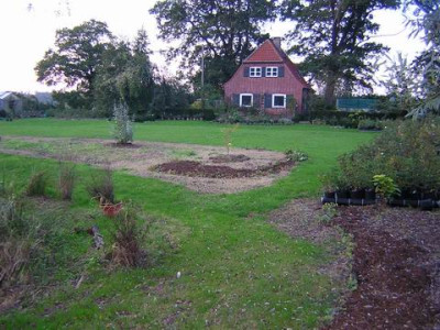 Wiese_16.JPG