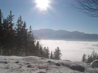 nebelwelt2.jpg