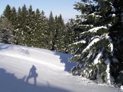 nebelwelt5.jpg