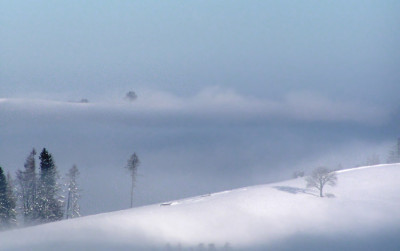 nebelwelt6.jpg