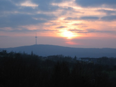 Januarsonne_3.jpg