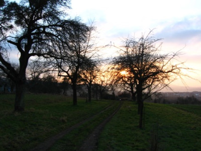 Januarsonne_2.jpg