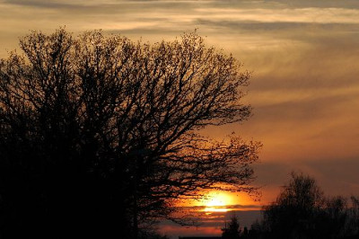 Januar_Sonne_1__07-01-06.jpg