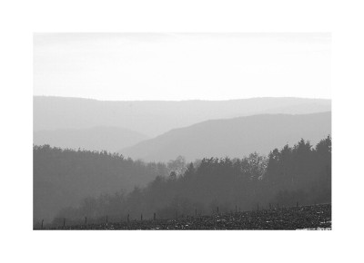 Januar_1_SW__08-01-06.jpg