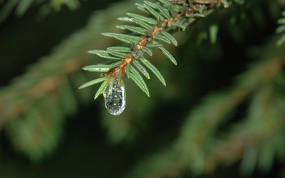 286_Eistropfen.jpg