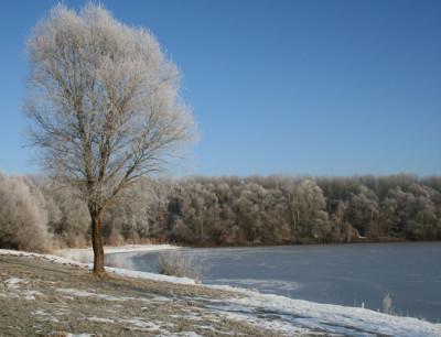 Morgenspaziergang-15.jpg