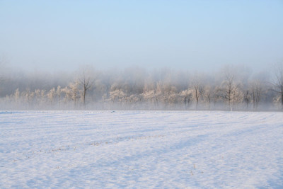 Morgenstimmung-1.jpg