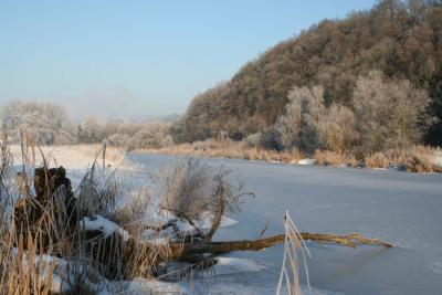 Morgenspaziergang-10.jpg