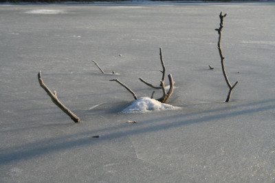 Morgenspaziergang-11.jpg