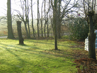 mein_Garten_1.JPG