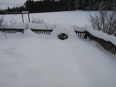 31.12.garten.jpg