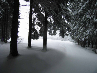 langlaufweg2.jpg