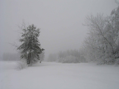 6.1.nebel1.jpg