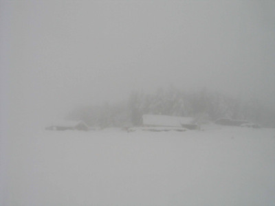 nebelnebel.jpg