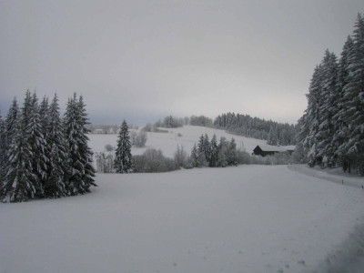 schneeufer1.jpg