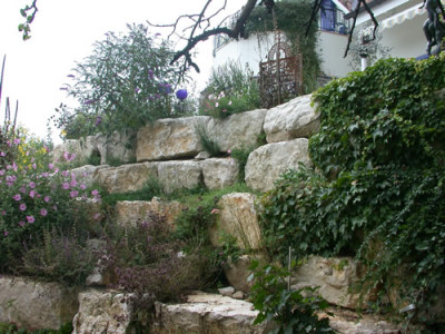 T_8558_82.jpg
