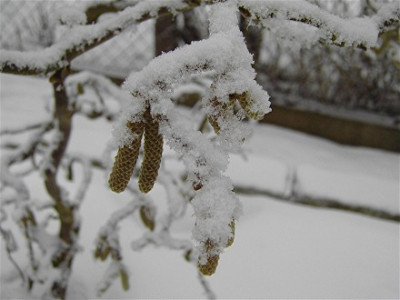 KorkenzieherSchnee_041.jpg