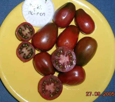 Die_Kleinen_Mohren_1.jpg