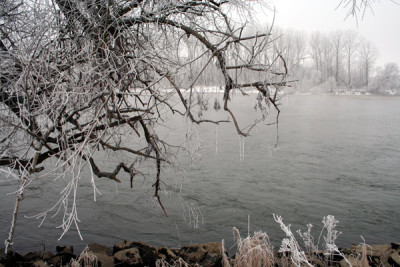 Donau-im-Nebel-1.jpg