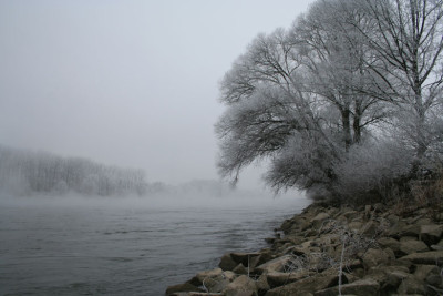 Donau-im-Nebel-2.jpg