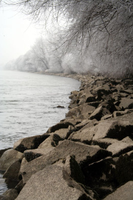 Donau-im-Nebel-5.jpg