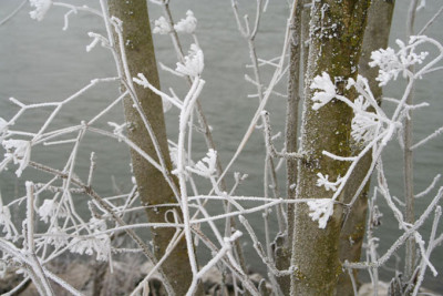 Donau-im-Nebel-10.jpg