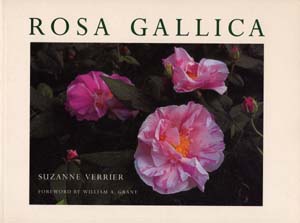 verrier-rosagallica.jpg