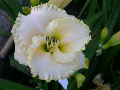 Anneke_30_4322.jpg