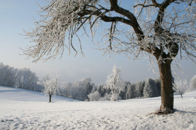 Winterlandschaft-2.jpg