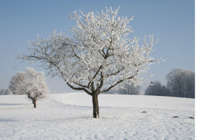 Winterlandschaft-3.jpg