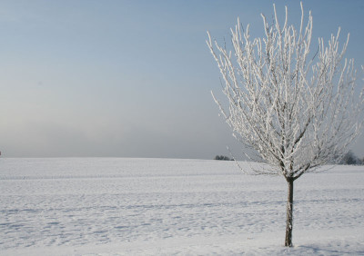 Winterlandschaft-4.jpg