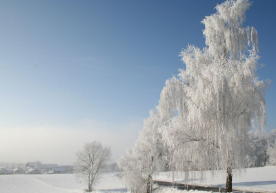 Winterlandschaft-5.jpg