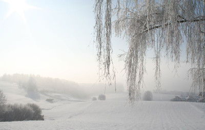 Winterlandschaft-7.jpg