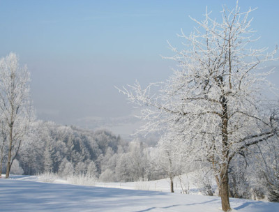 Winterlandschaft-12.jpg