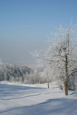 Winterlandschaft-13.jpg