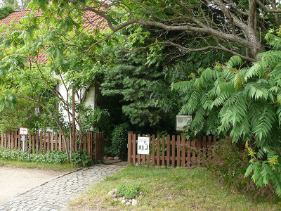 P1240435_800.jpg