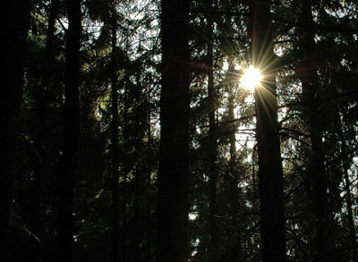 DSC_0157_1_Sonne.jpg