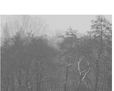 Grau-vor-meinem-Fenster-2b.jpg