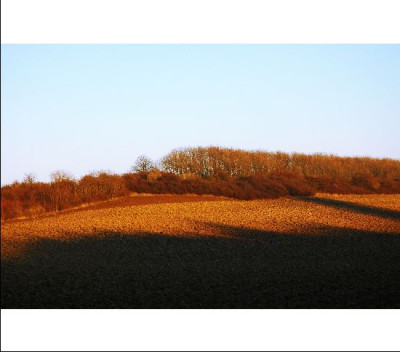 Feldansichten_1__14-01-06.jpg
