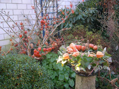 garten181005-1501060195k.jpg