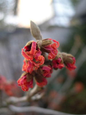 garten181005-1501060200k.jpg