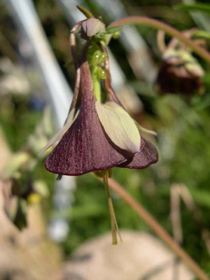 garten22-270404-0230k.jpg