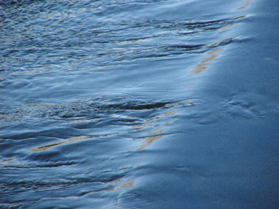 blau-Jan-2-a.jpg