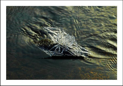 Eis__Wasser_4_15-01-06.jpg