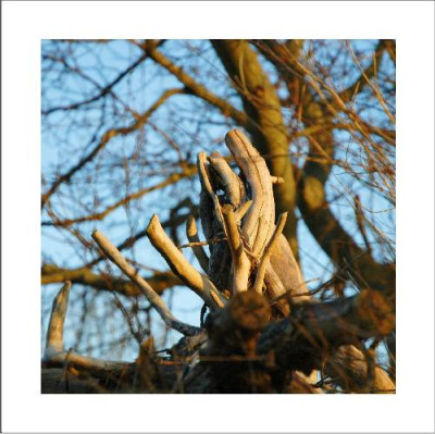 Holzstrukturen_1_16-01-06.jpg