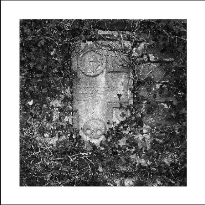 Stilleben_sw_1_16-01-06.jpg