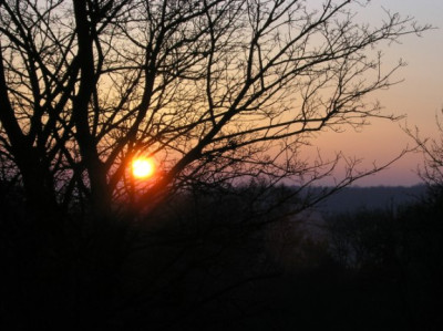 Sonnenaufgang_160106.jpg