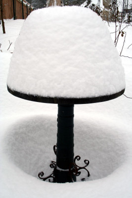 Wintereinbruch-029.jpg